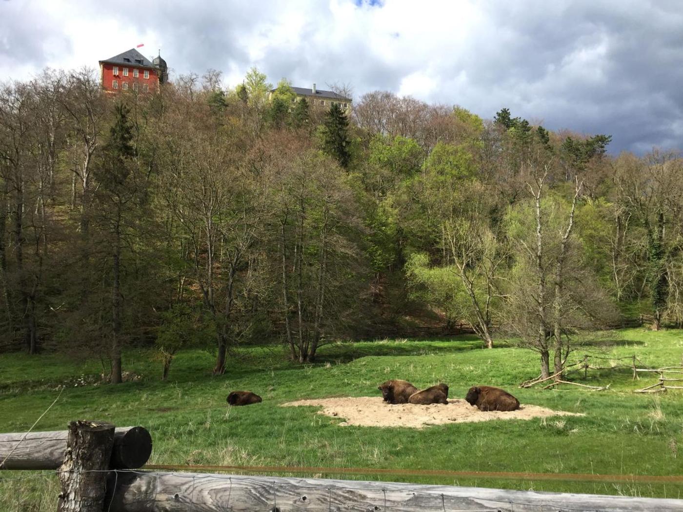 Begegnungen mit beeindruckenden Wildtieren
