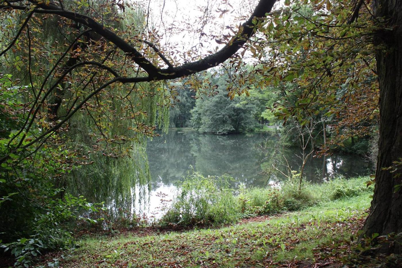 Oase der Ruhe und Schönheit