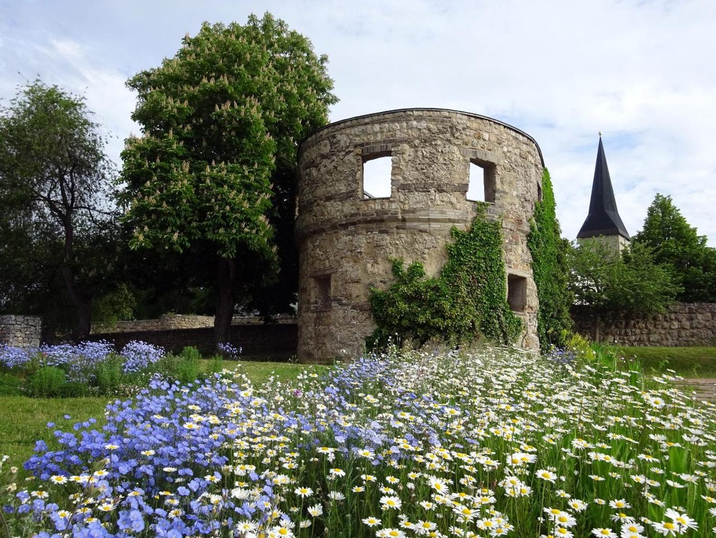 Entdecke Abenteuer und Entspannung im historischen Park