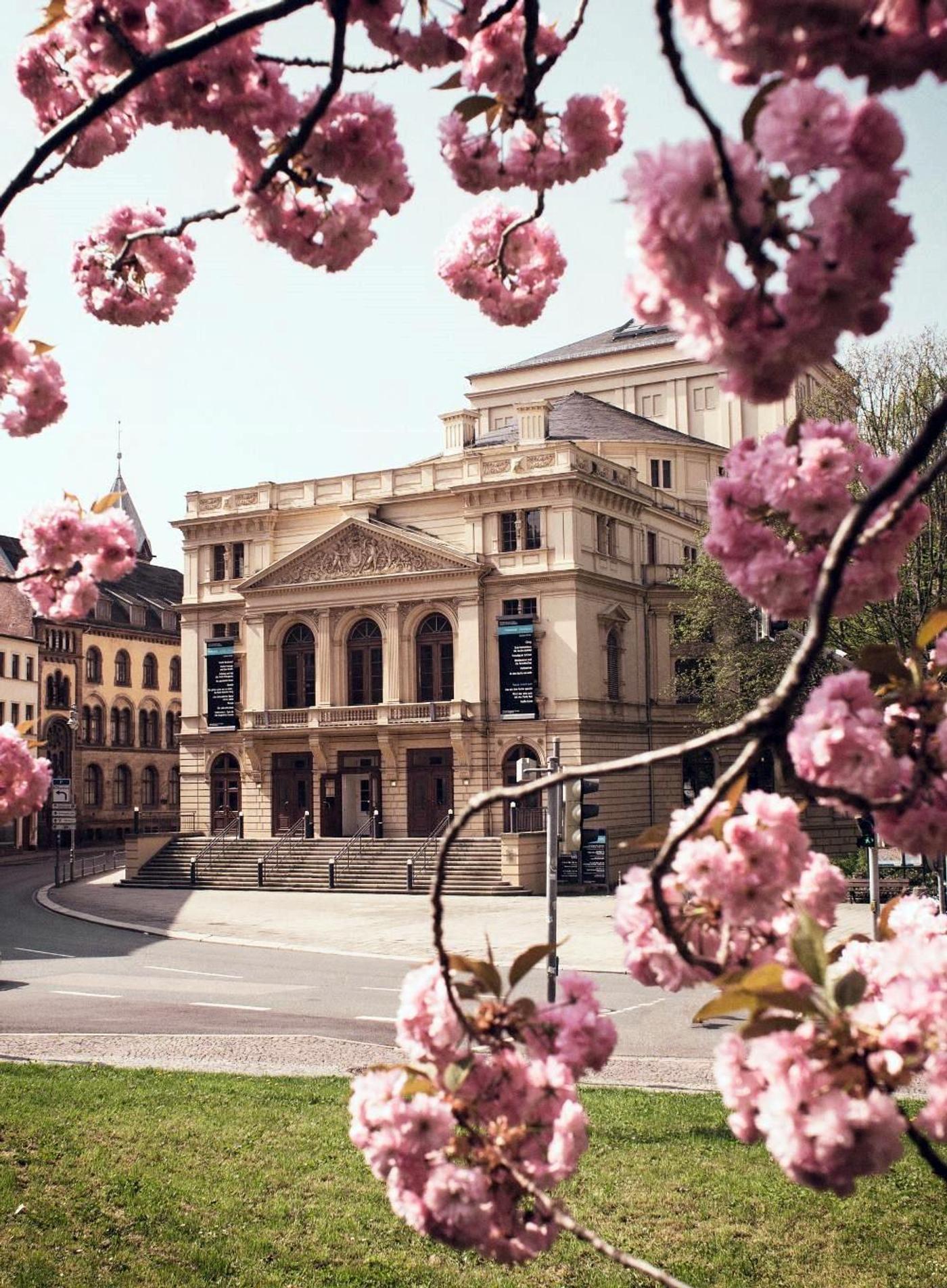Theatergeschichte hautnah erleben