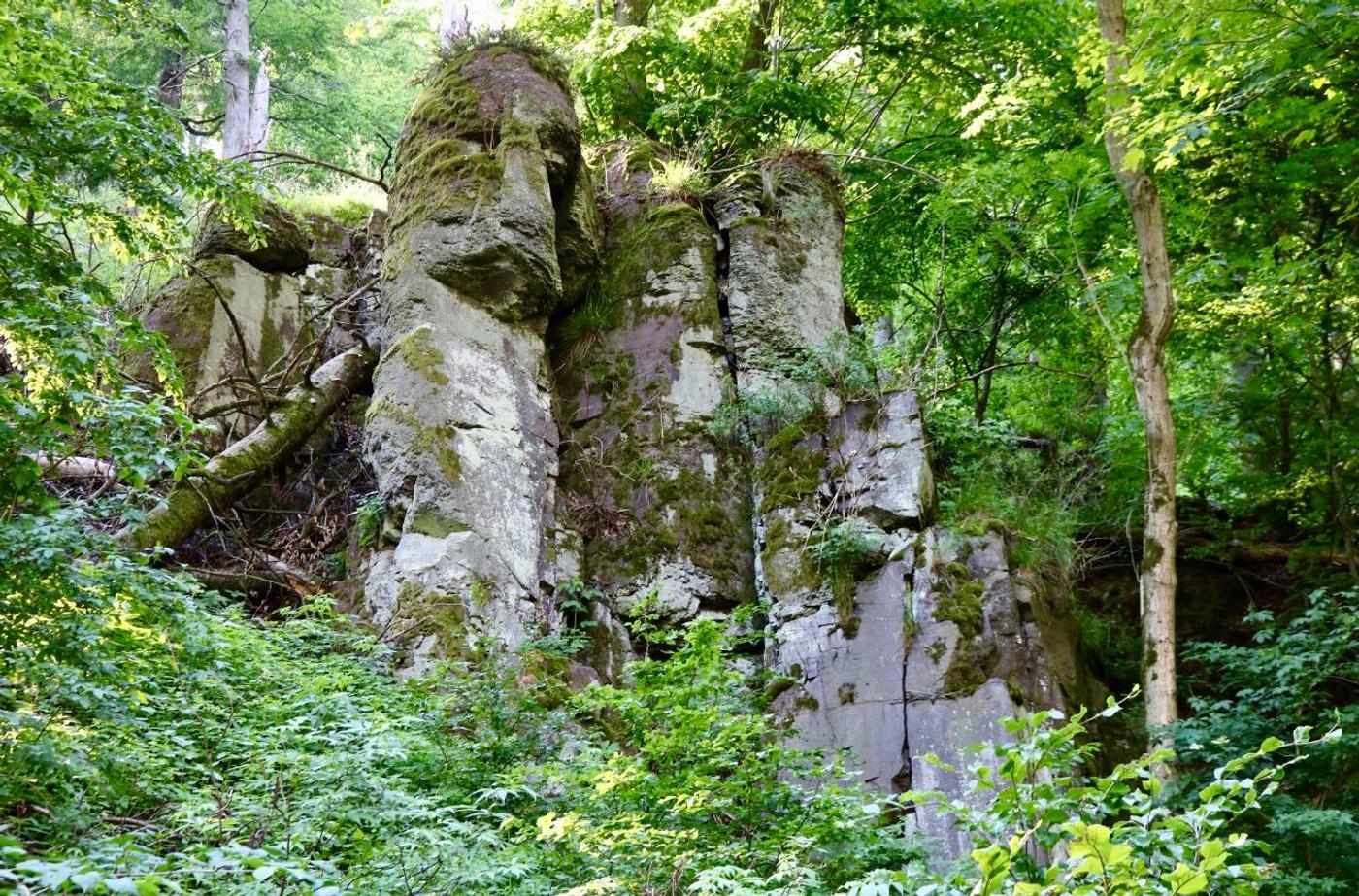 Wildromantisches Abenteuer im Mühltal