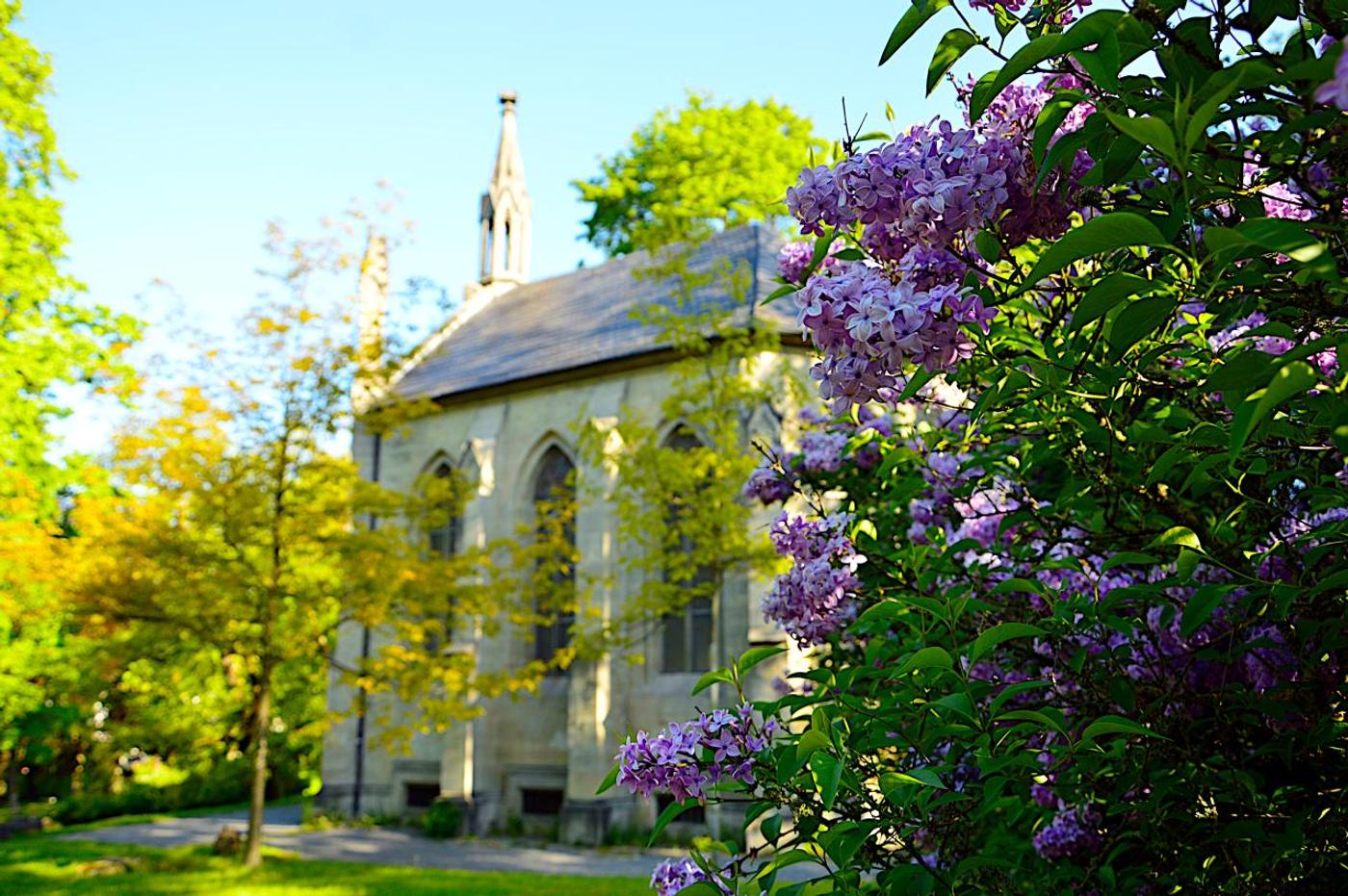 Eine Oase der Ruhe und Schönheit