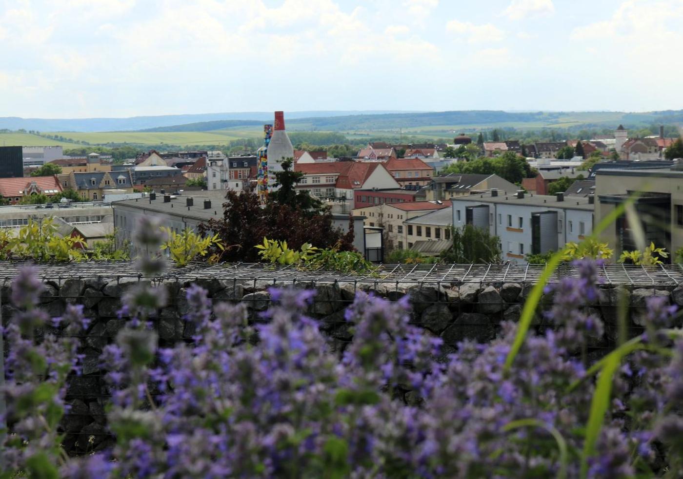 Entdecke Abenteuer und Entspannung im historischen Park