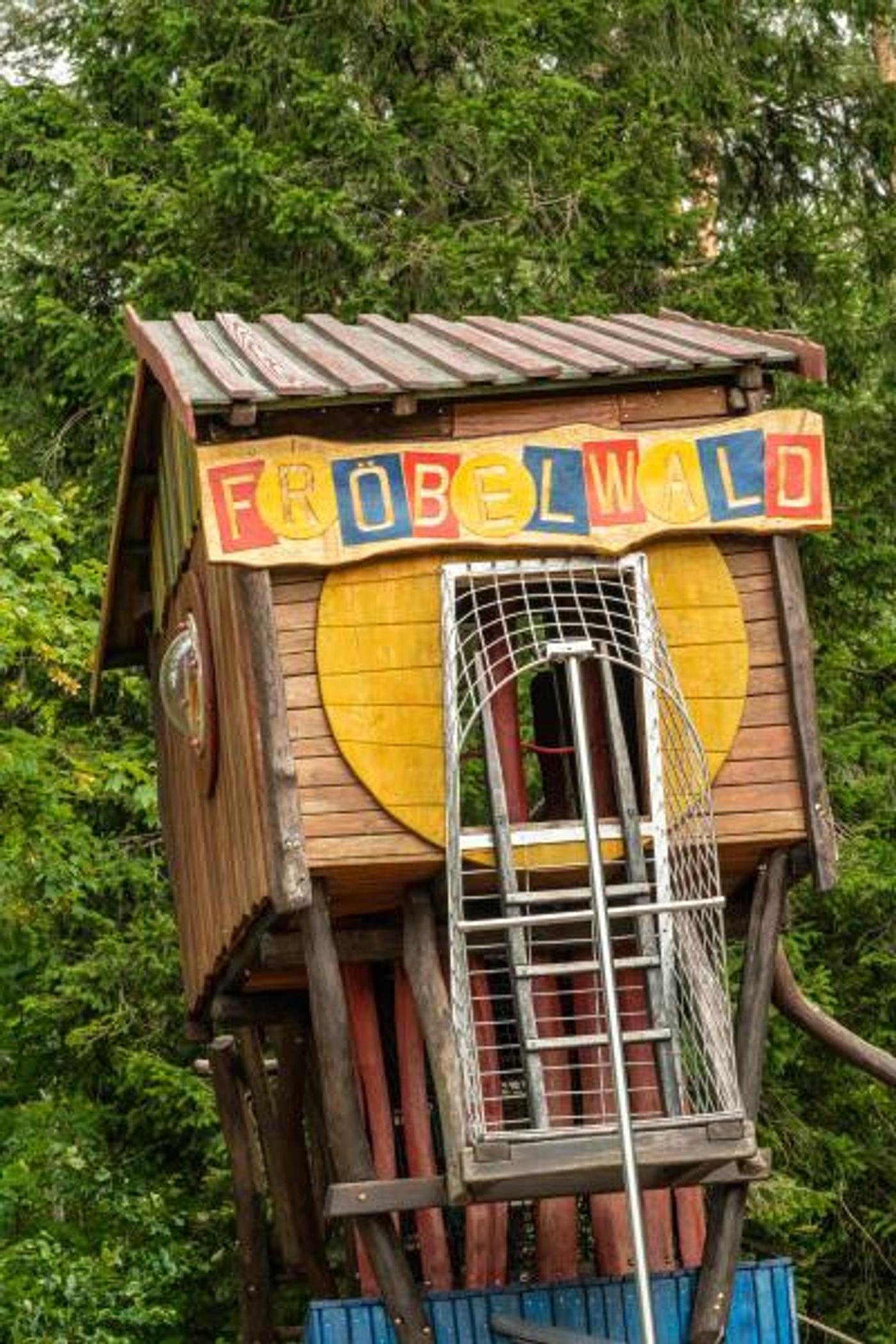 Ein Wald voller Wunder