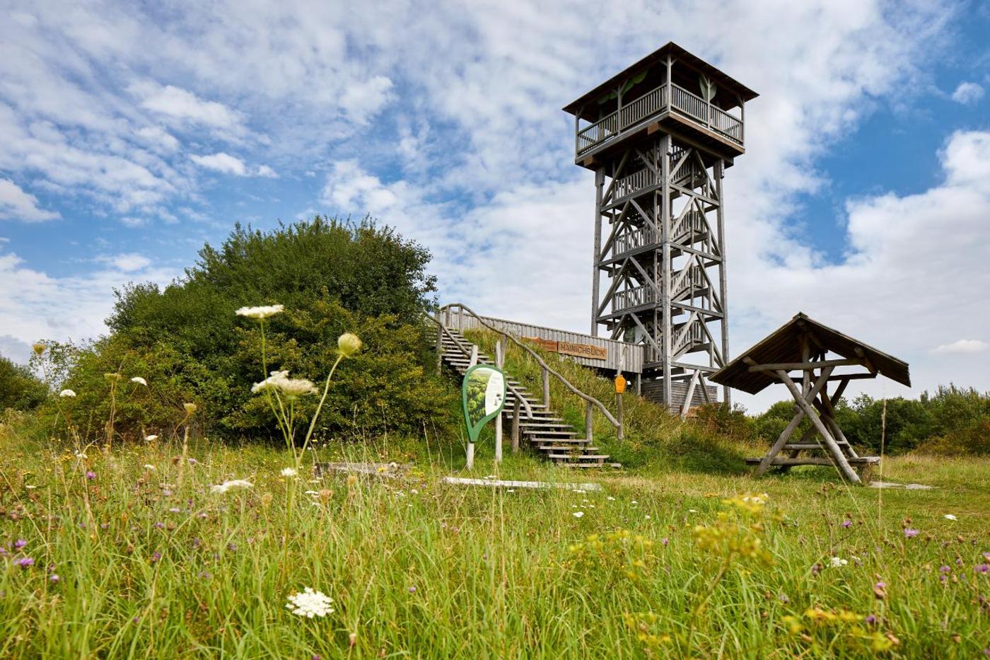 Ausblick über den Nationalpark