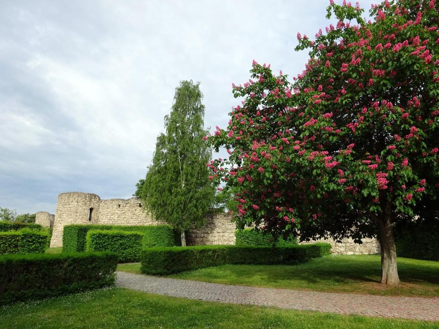 Entdecke Abenteuer und Entspannung im historischen Park