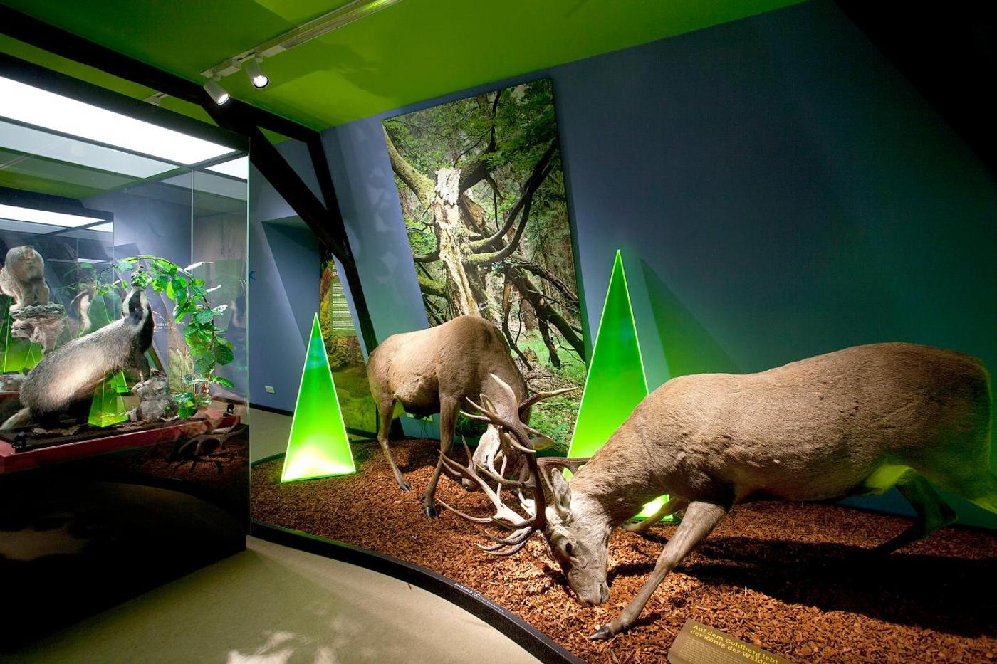 Geheimnisse der Natur