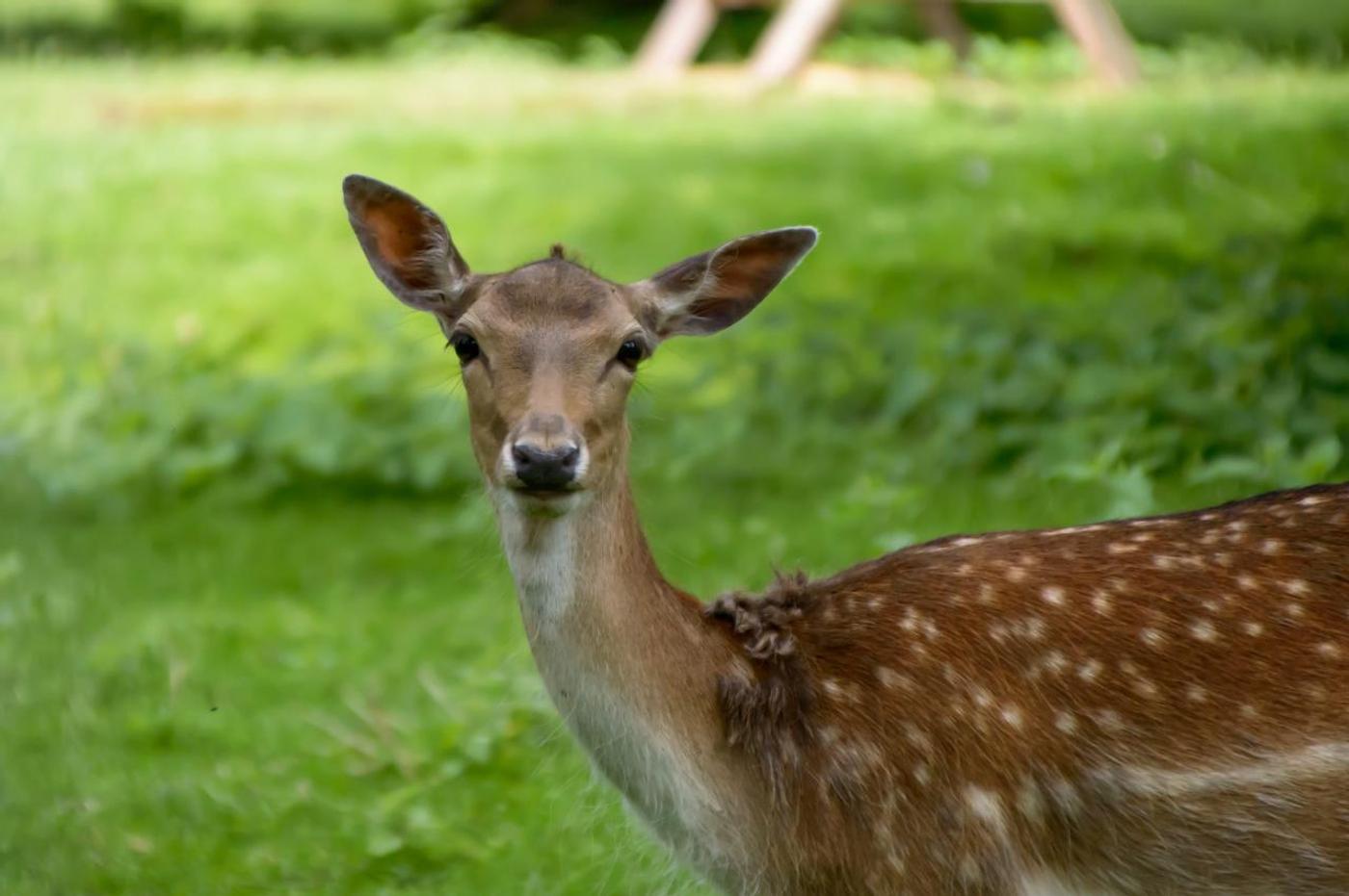 Oase der Ruhe und Schönheit