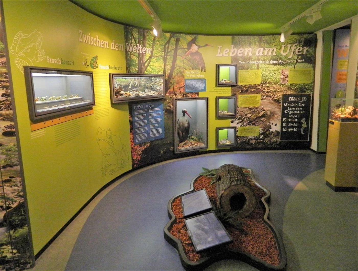 Geheimnisse der Natur