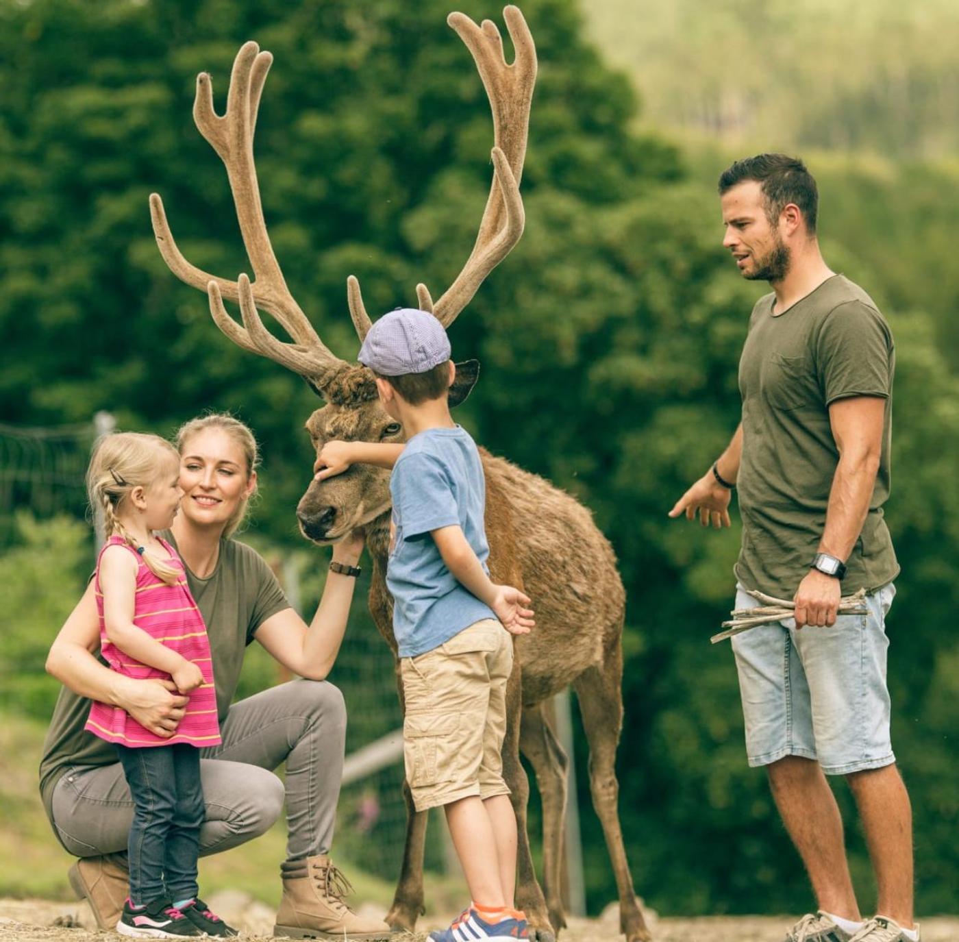 Wildtiere hautnah erleben