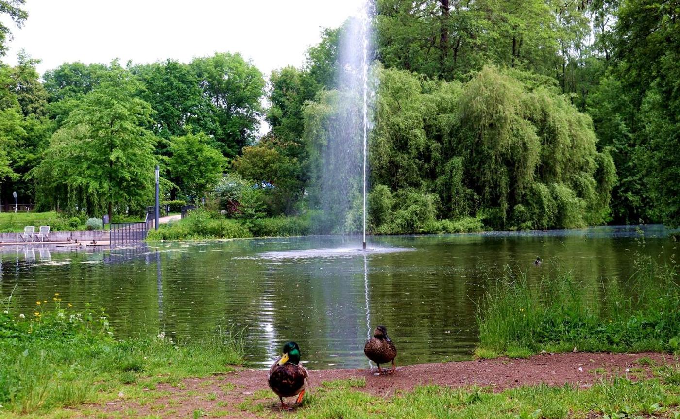 Oase der Ruhe und Schönheit