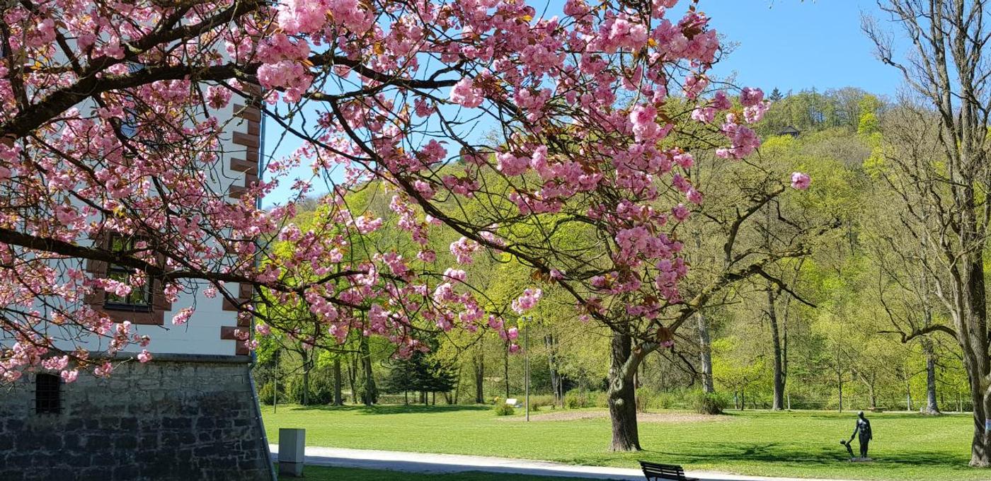 Zeitreise durch die Jahrhunderte
