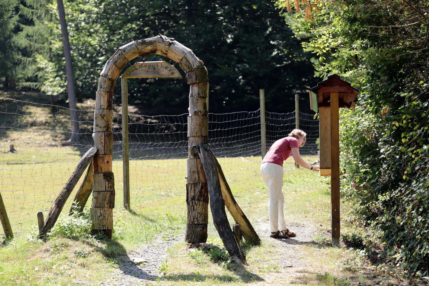 Naturwunder und Wildtierbegegnungen