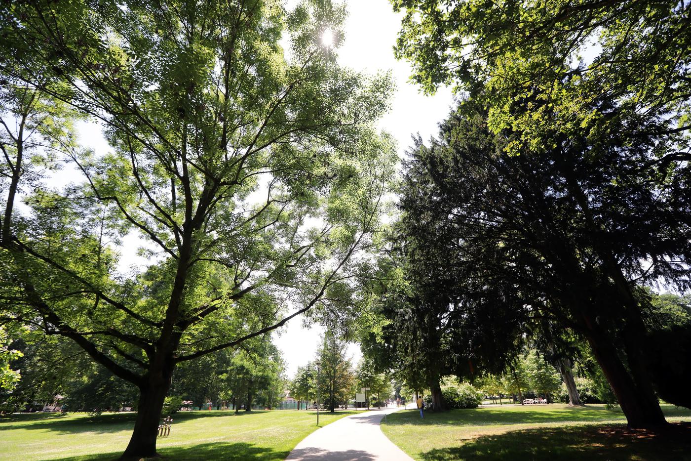 Grüne Idylle entdecken