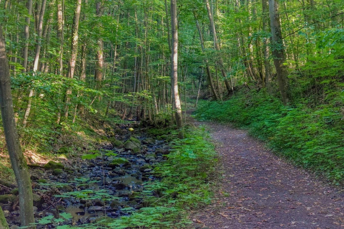 Märchenhafte Spaziergänge