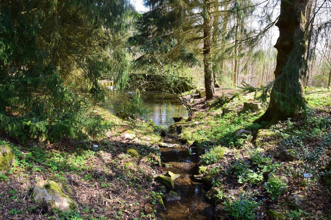 Vielfalt der Pflanzenwelt entdecken