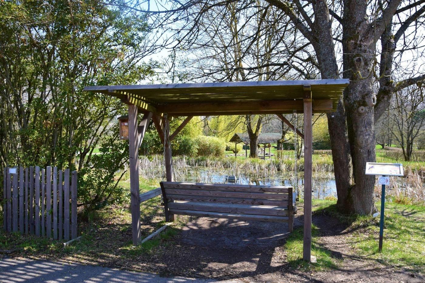 Vielfalt der Pflanzenwelt entdecken