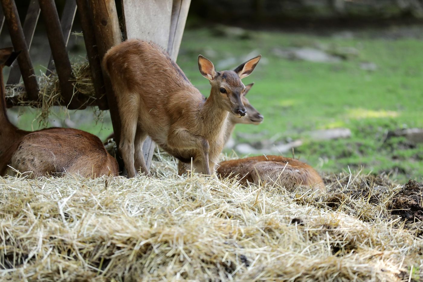 Naturwunder und Wildtierbegegnungen