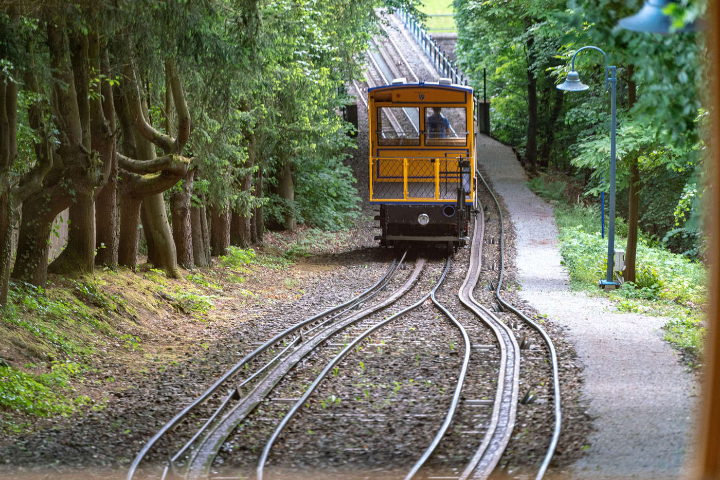 Nostalgische Fahrt ins Grüne