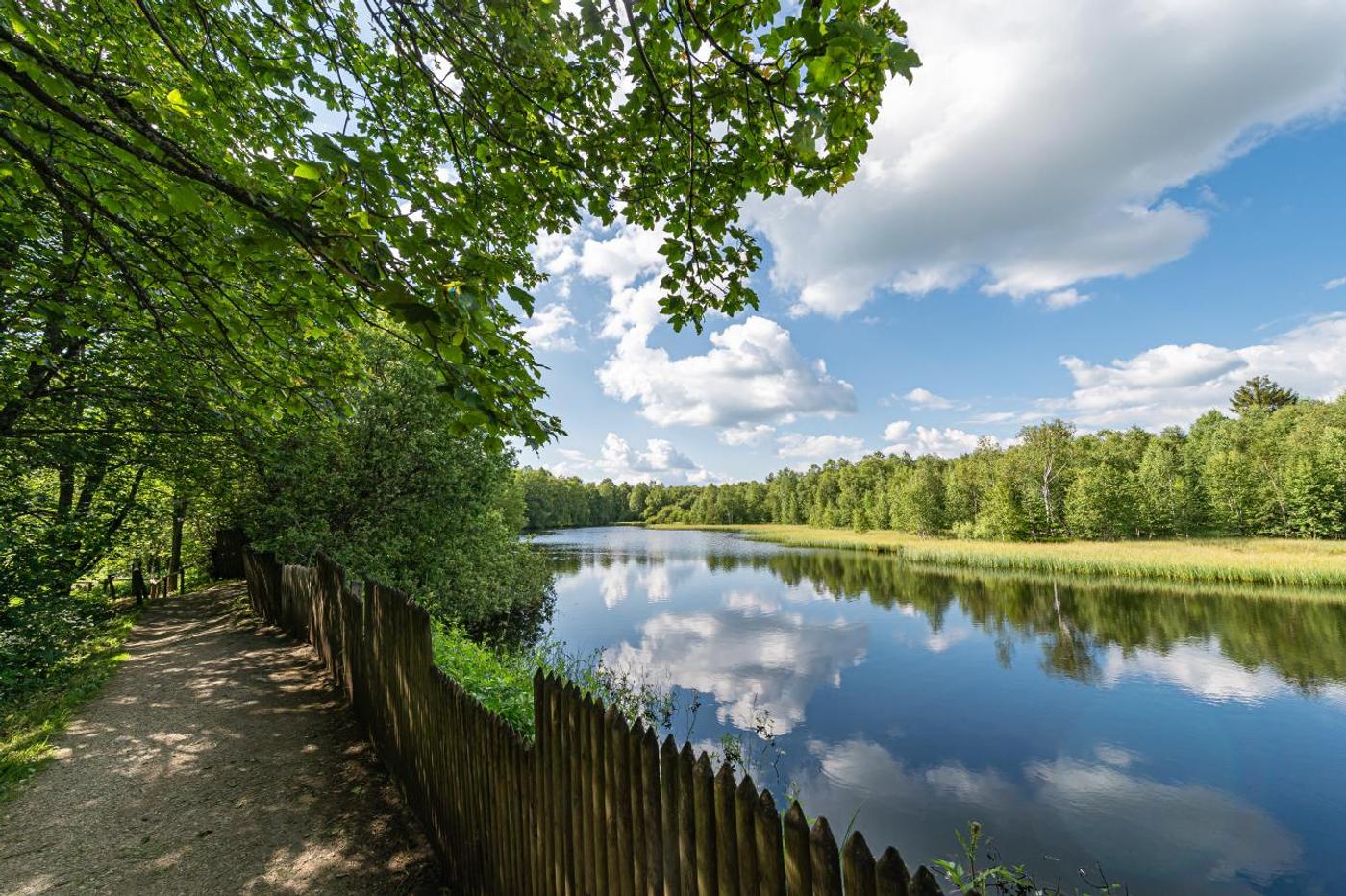 Weitblick im Hochmoor
