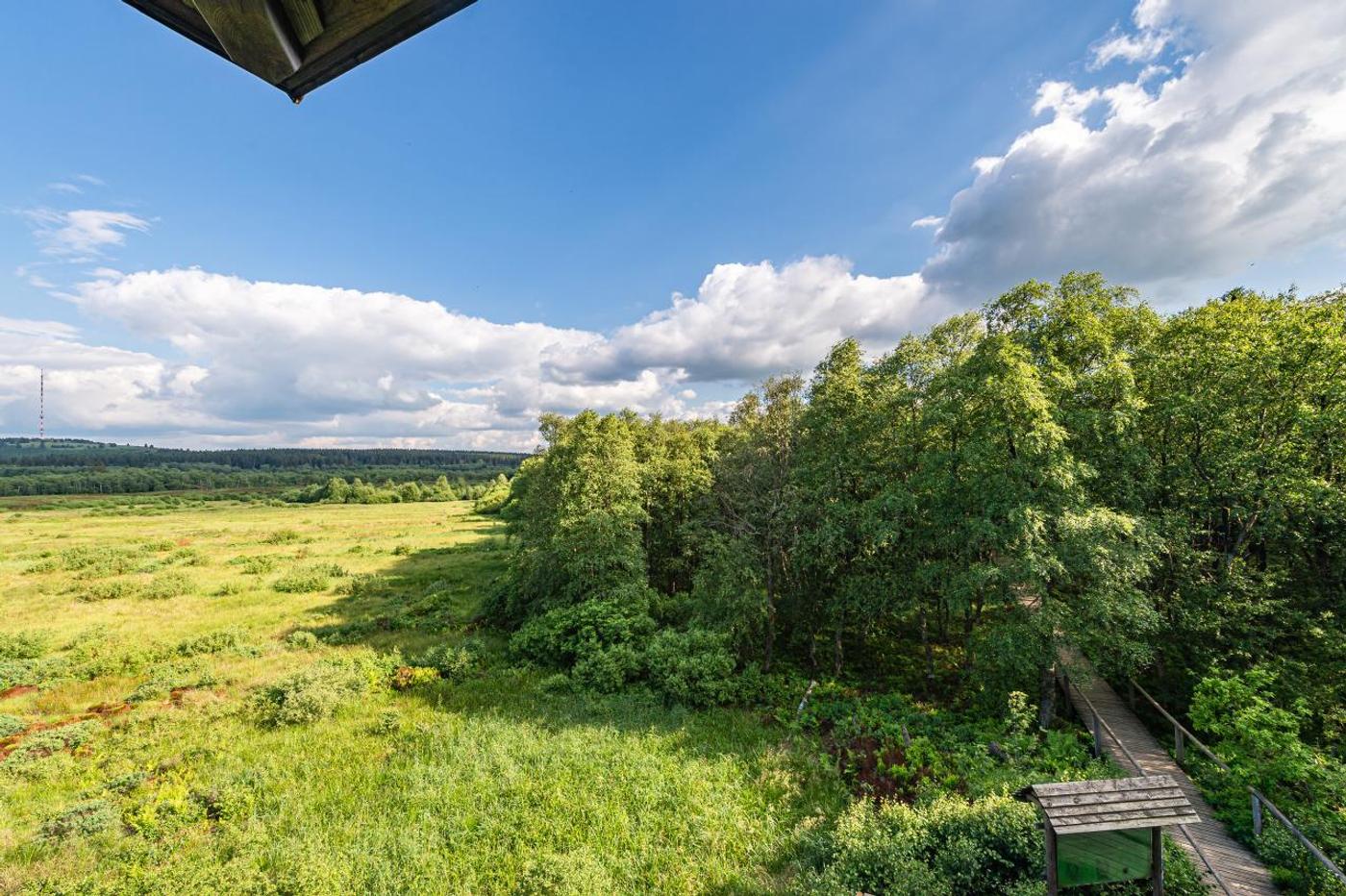 Weitblick im Hochmoor