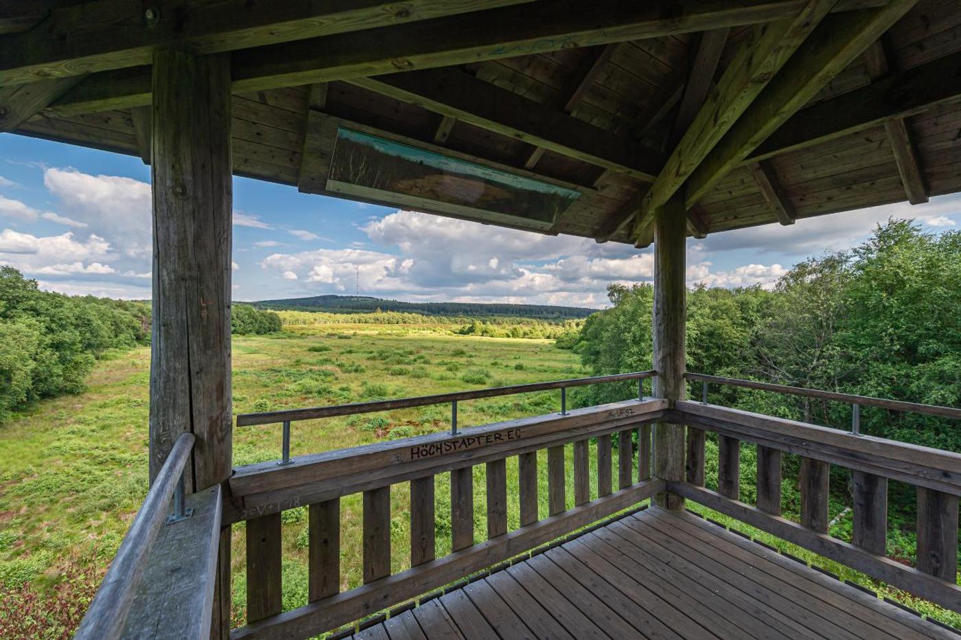 Weitblick im Hochmoor