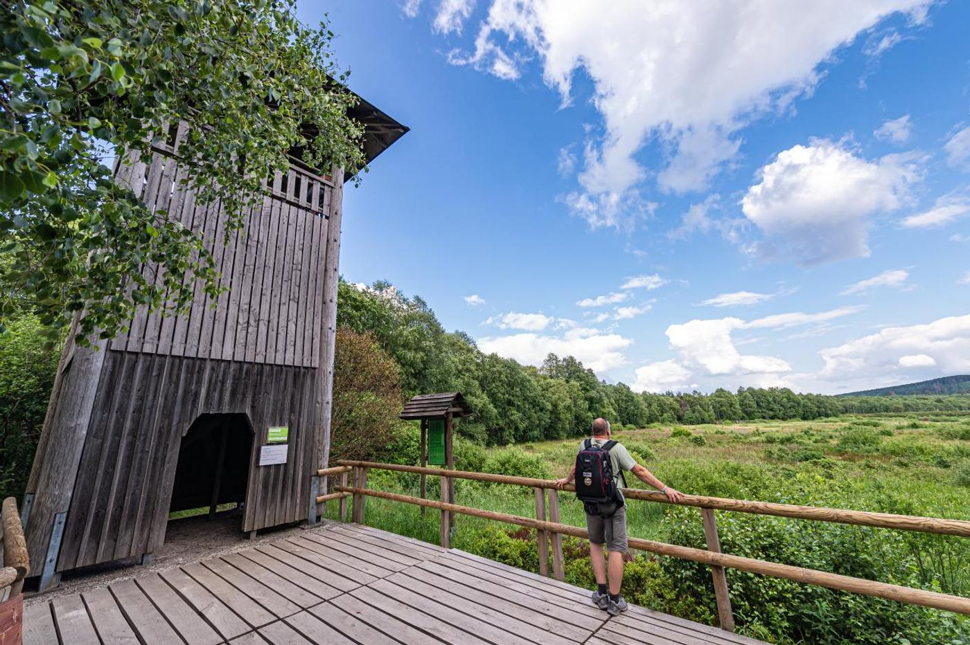 Weitblick im Hochmoor