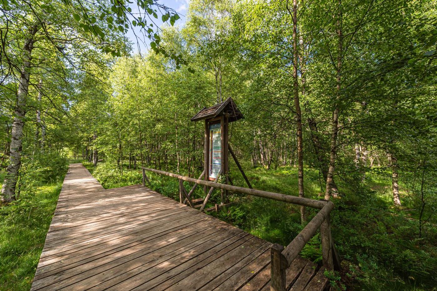 Weitblick im Hochmoor