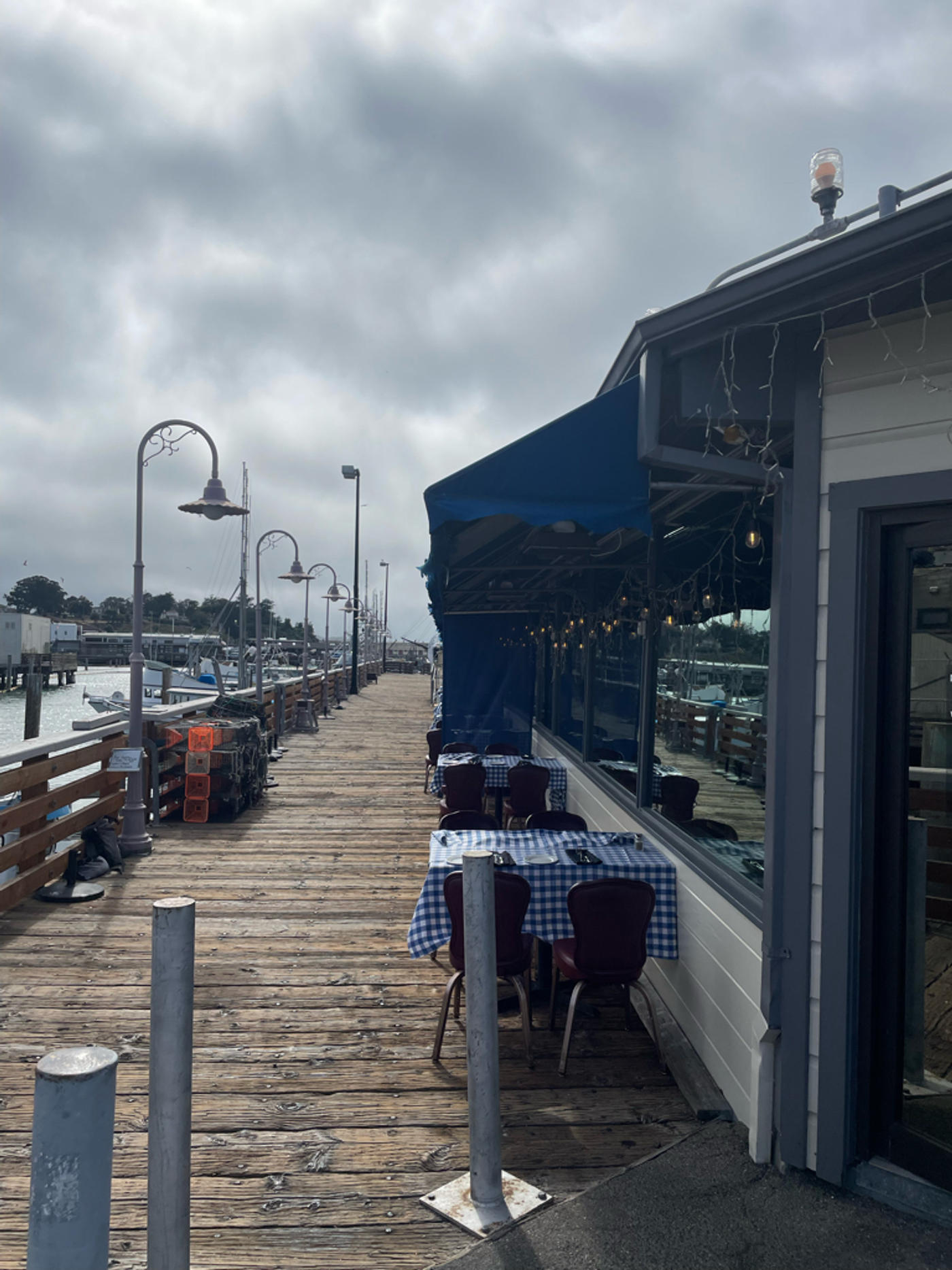 It’s all about fish