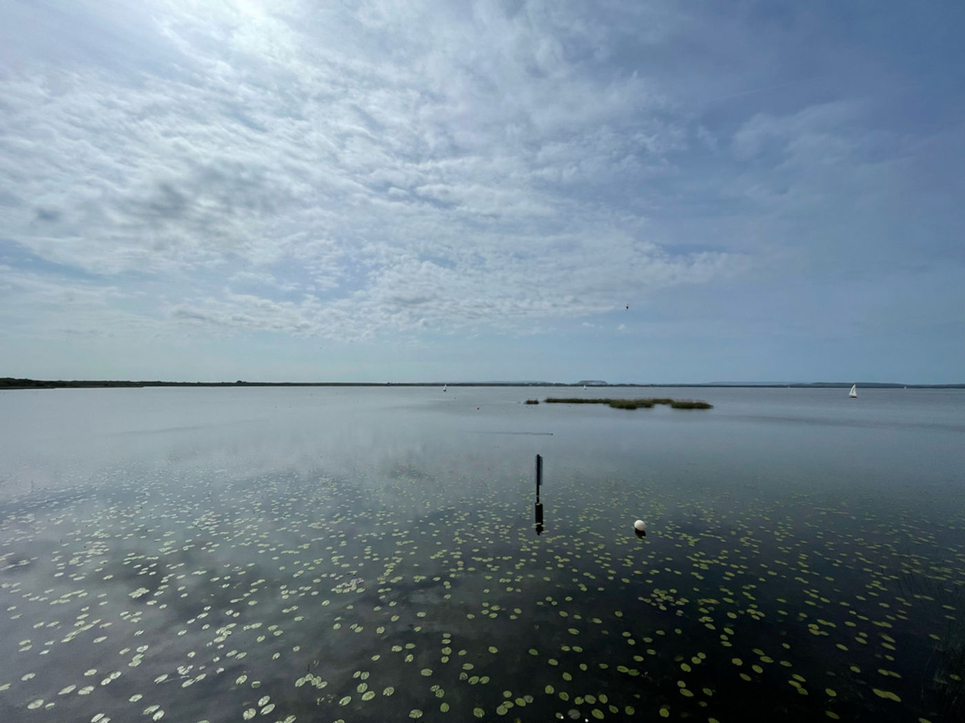 Das Tote Moor und die Steinhuder Meer Sage