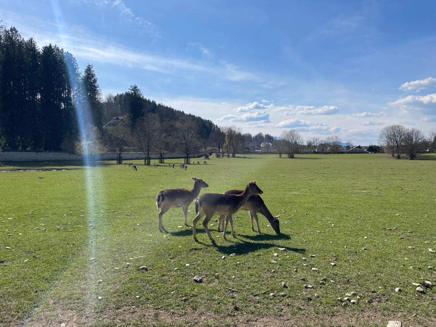 Ein Rundgang um den Tierpark
