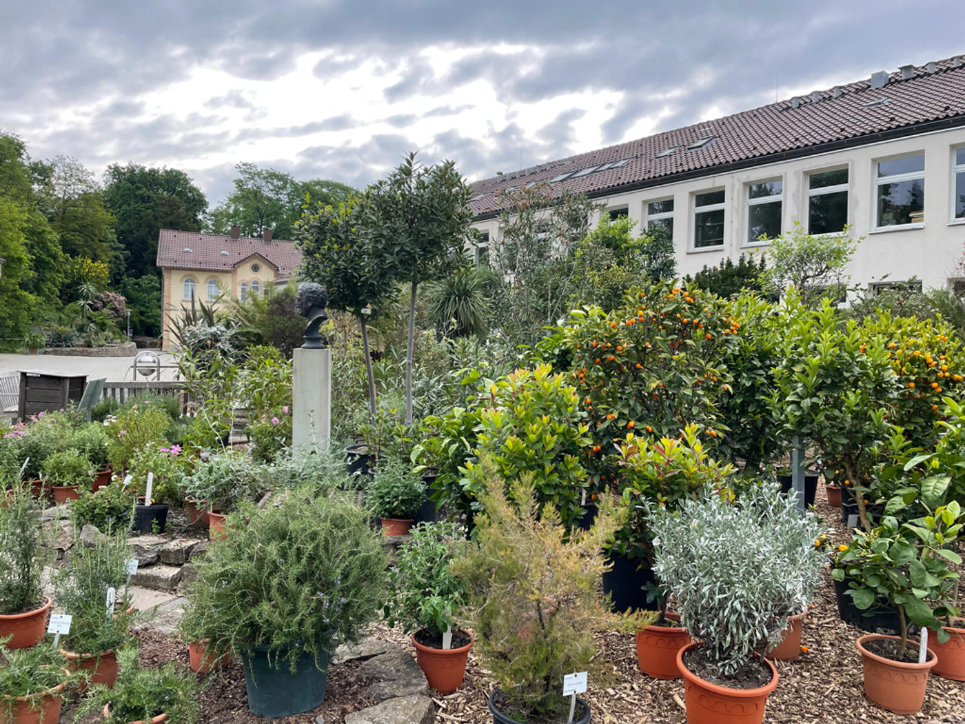 Für Topfplanzenliebhaber*innen🪴