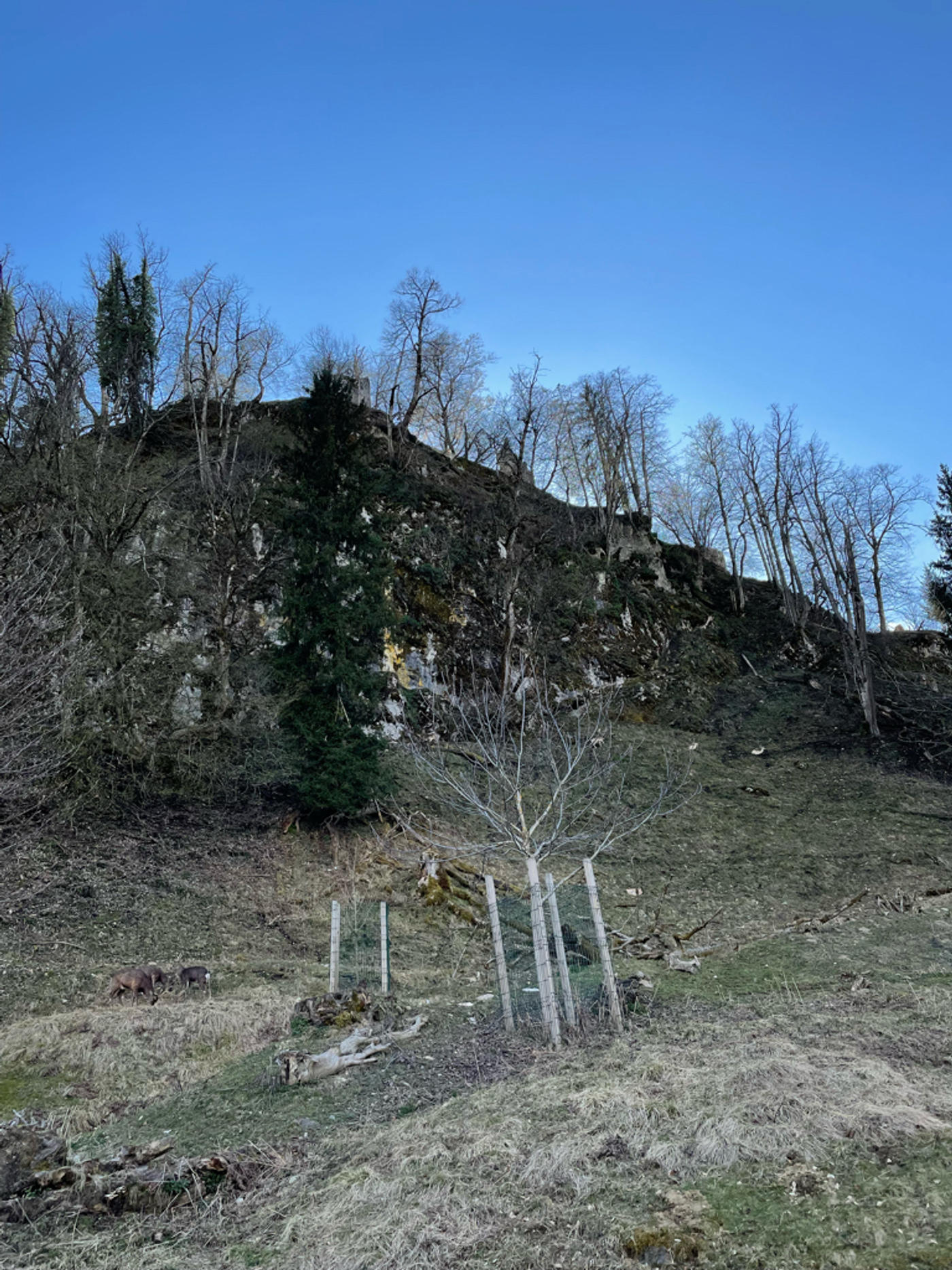 Ein Rundgang um den Tierpark