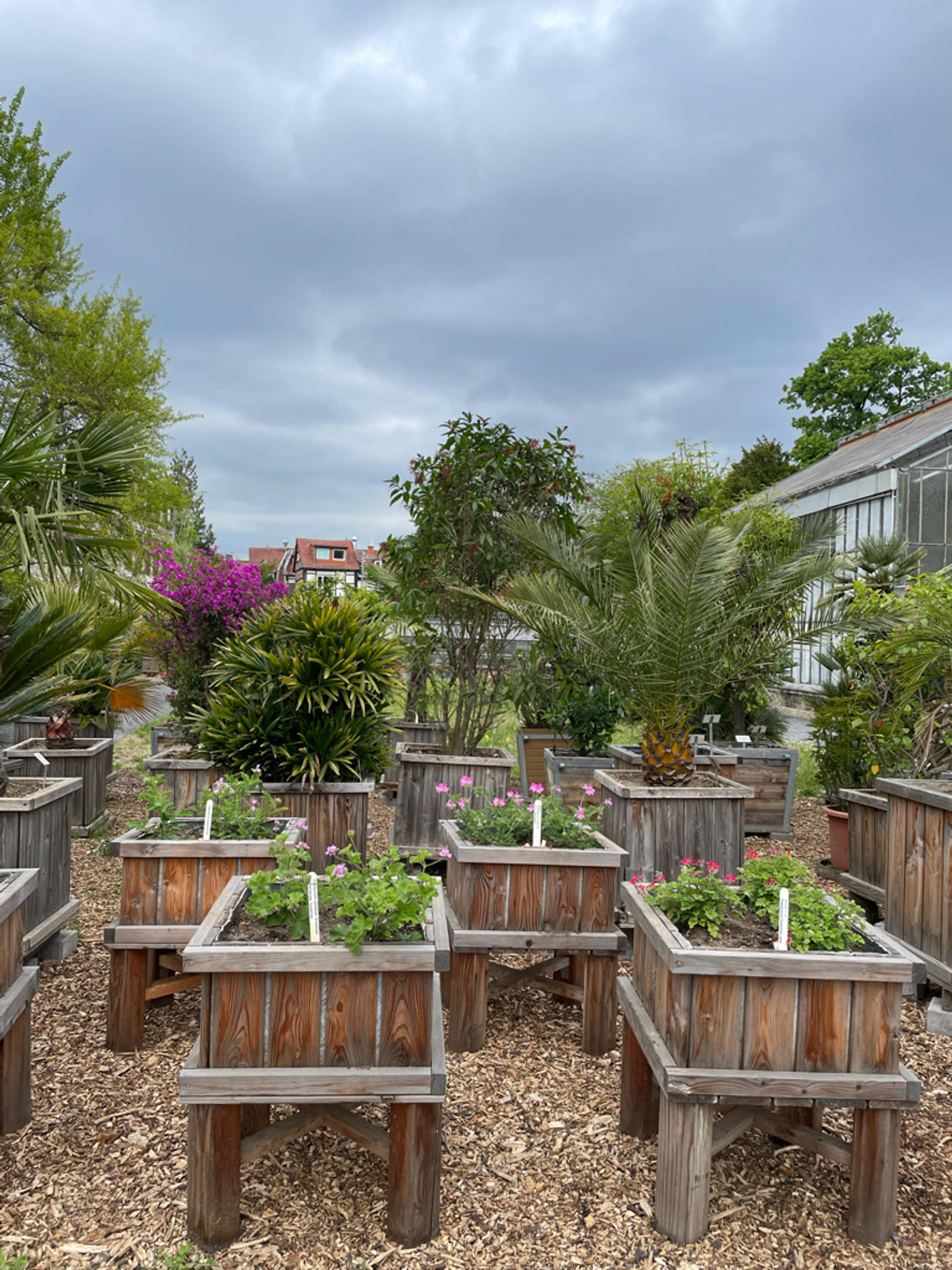 Für Topfplanzenliebhaber*innen🪴