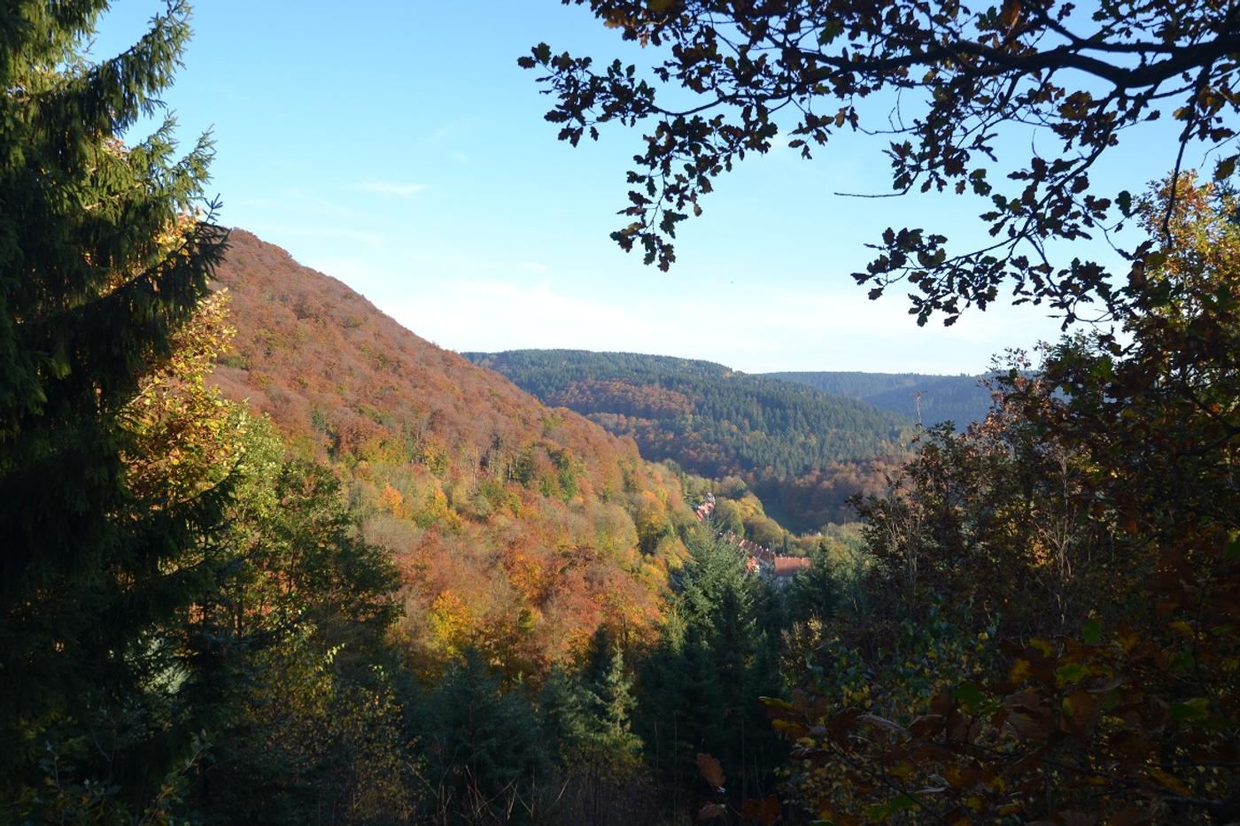 Eine Wanderung durch Zeit, Natur und Geschichte