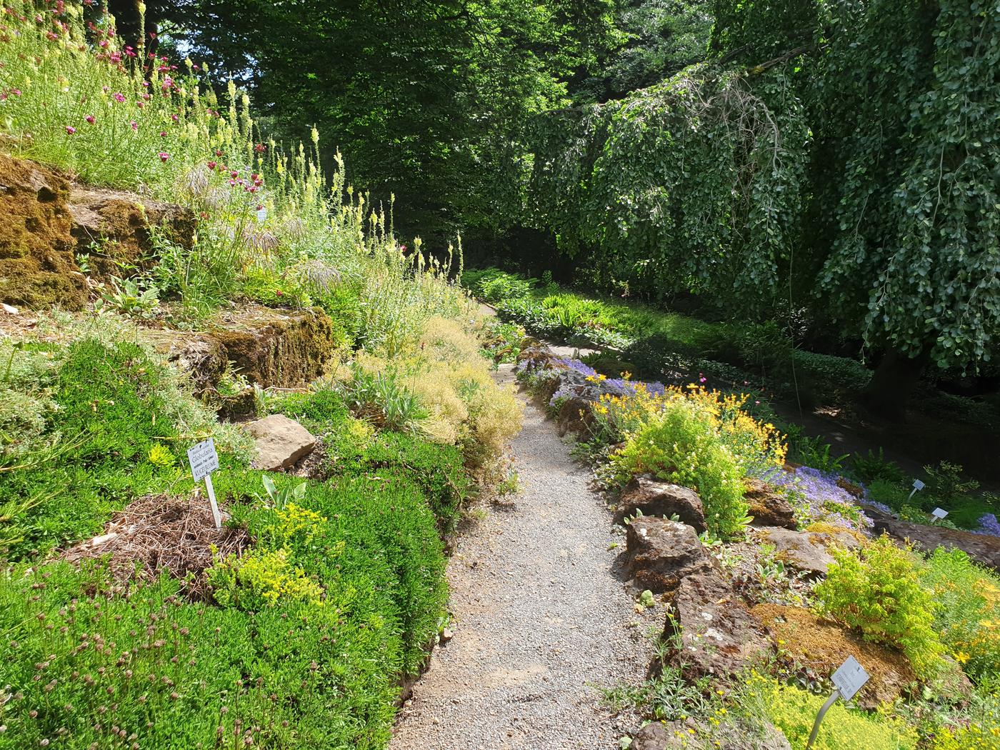 Spazieren, staunen und verweilen