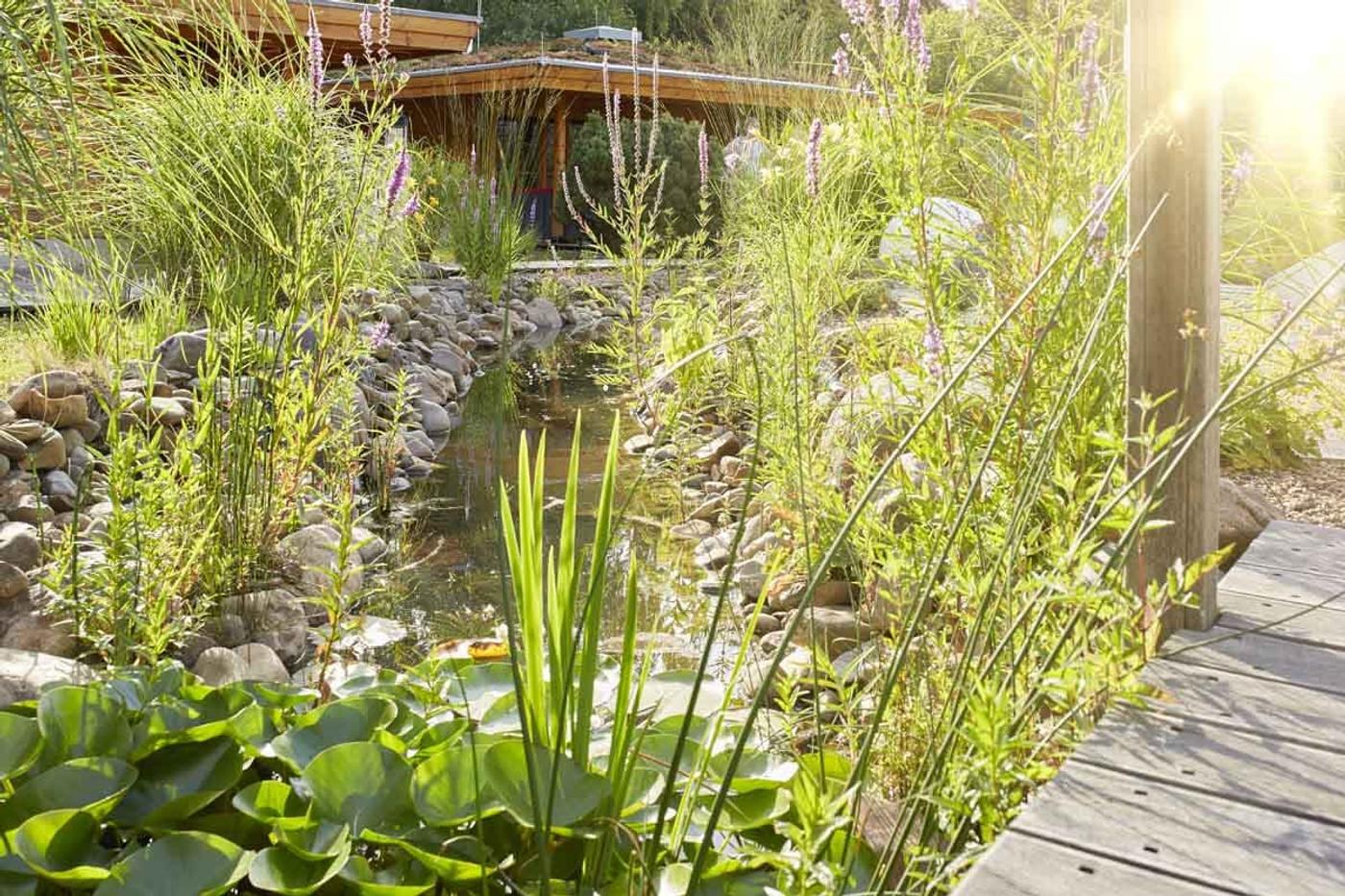 Exklusive Entspannung und Wohlbefinden erleben