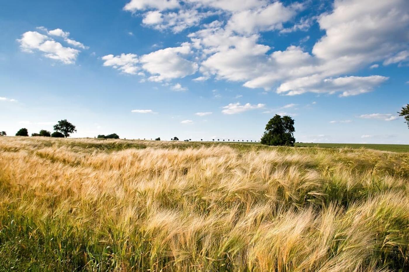Naturparadies Bliesgau