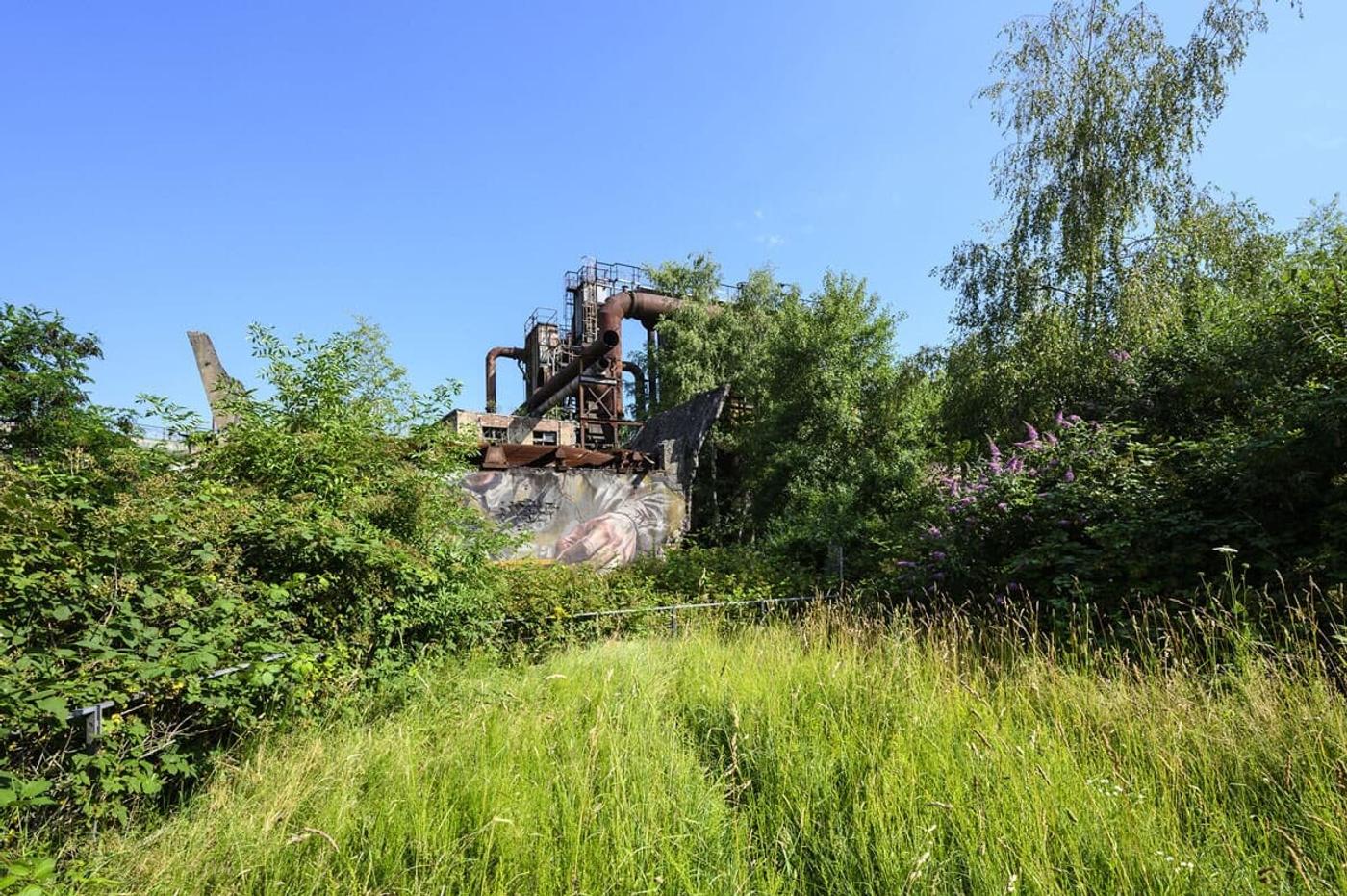 Einzigartige Symbiose aus Natur und Industrie