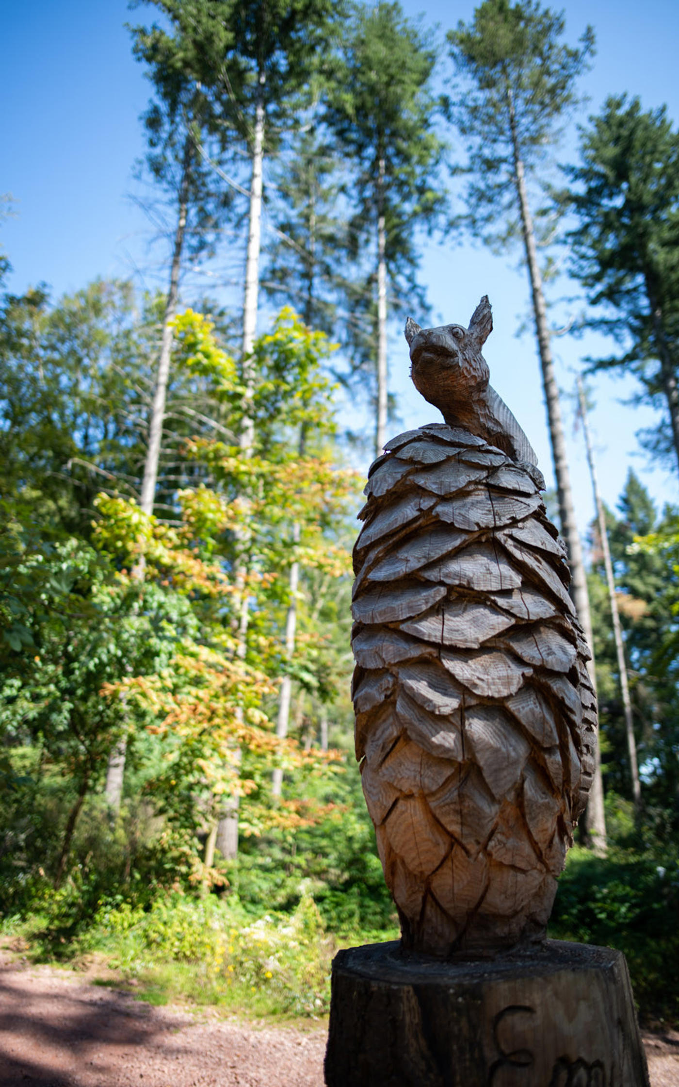 Ein Spielplatz mitten in der Natur