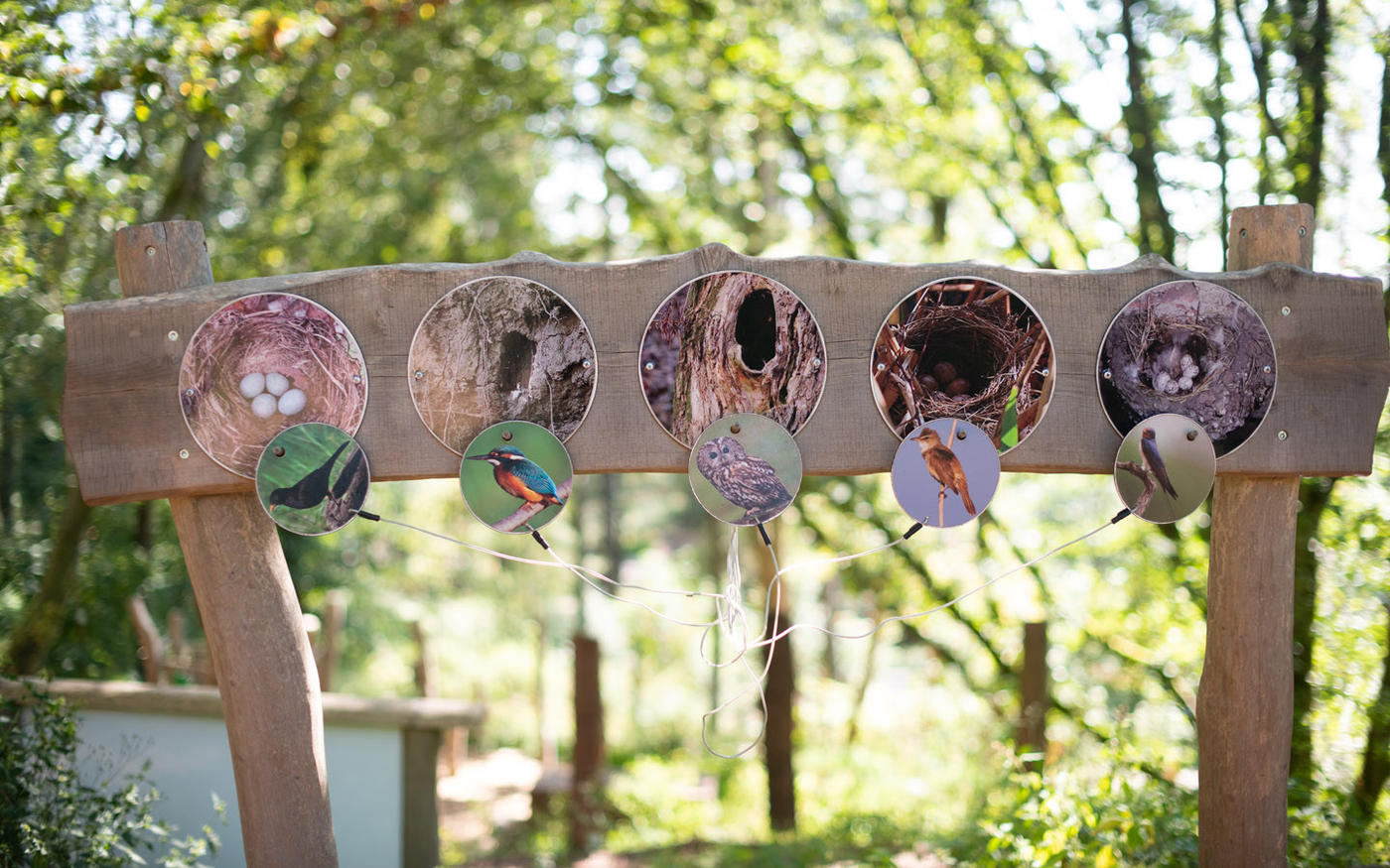Ein Spielplatz mitten in der Natur