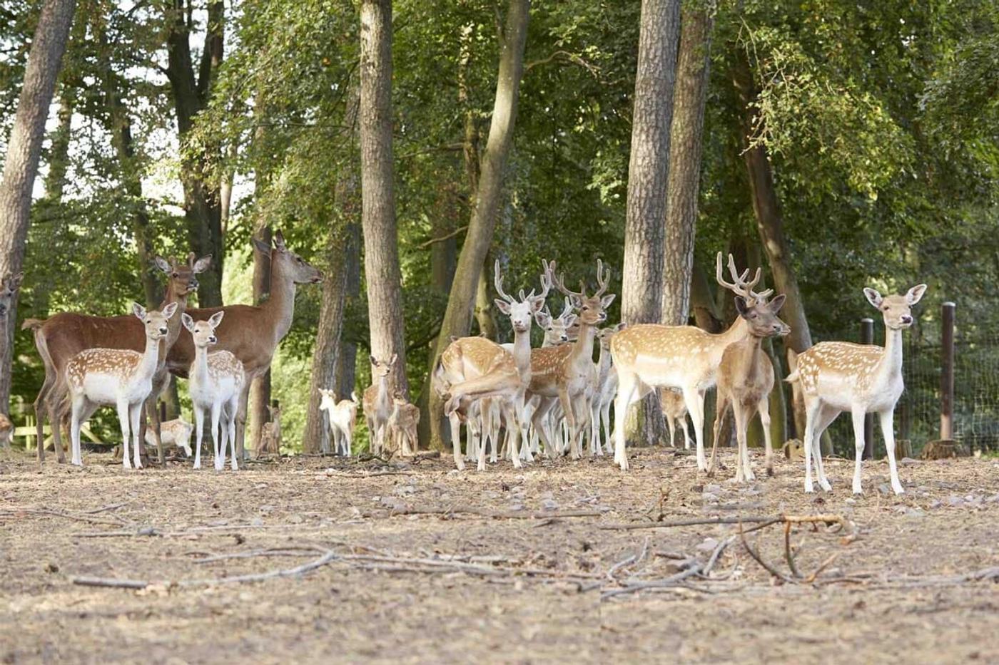 Einzigartige Tierbegegnungen und Naturerlebnisse
