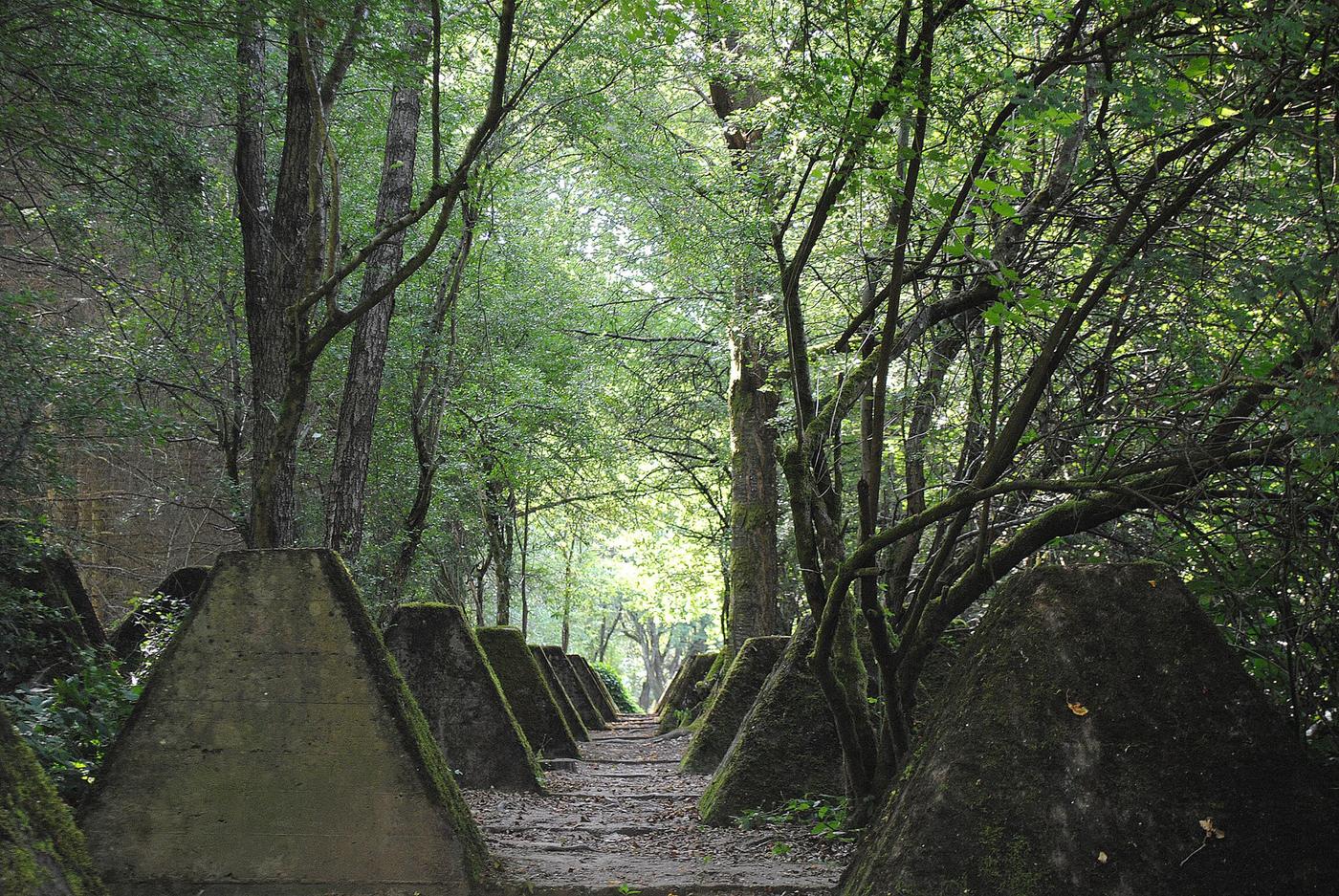 Geschichtsreise durch die Zeit