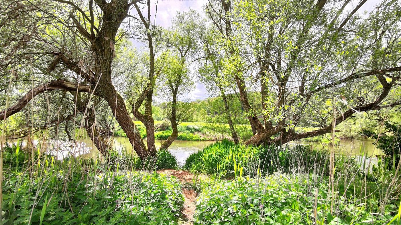 Naturparadies Bliesgau