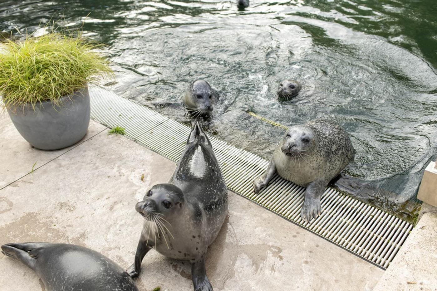 Ein Tag voller tierischer Abenteuer