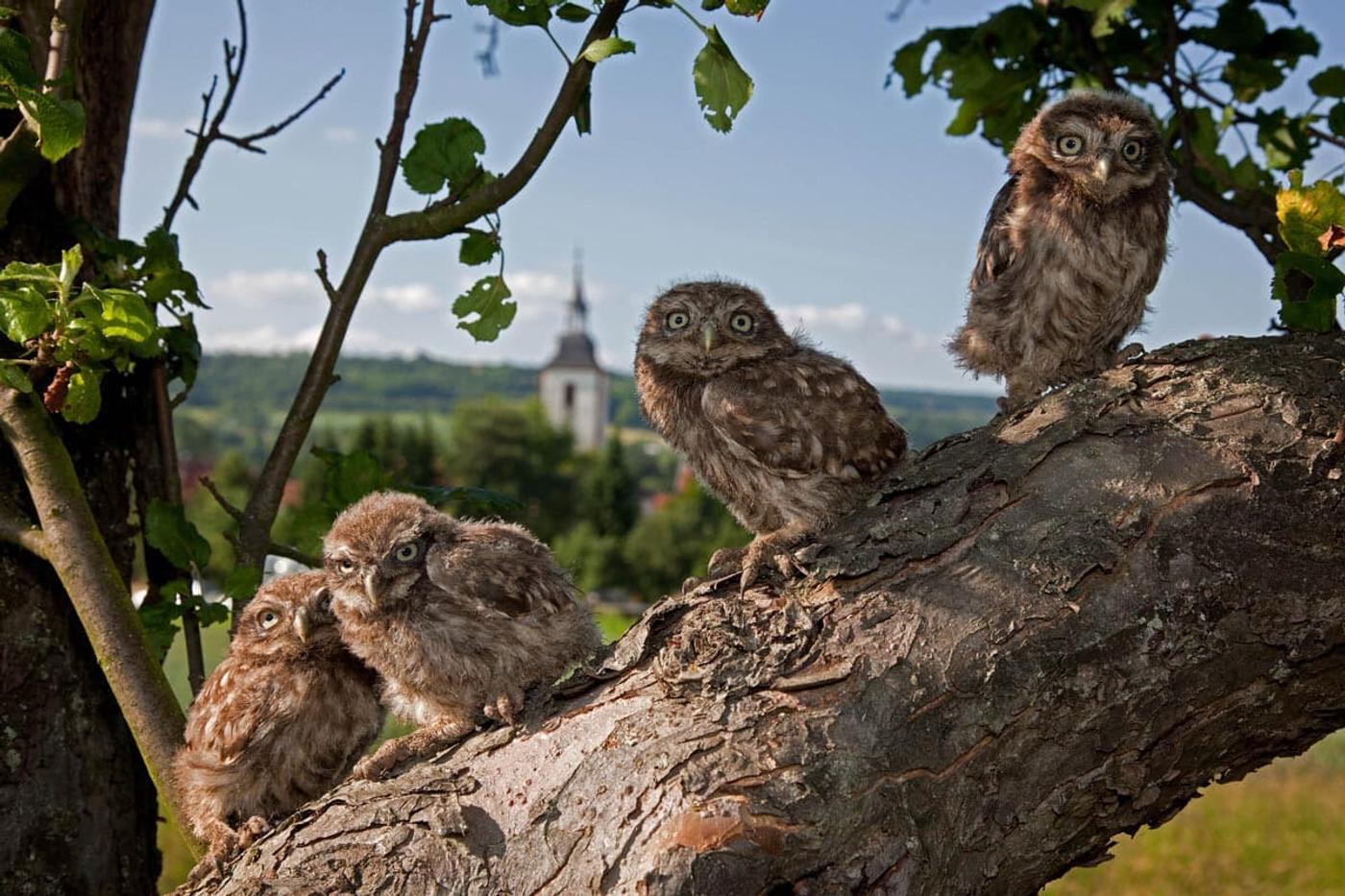 Naturparadies Bliesgau