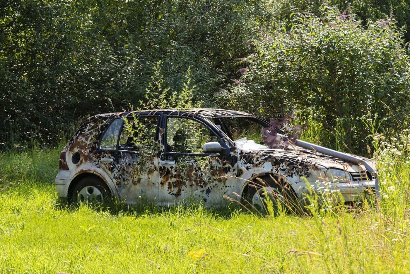 Einzigartige Symbiose aus Natur und Industrie