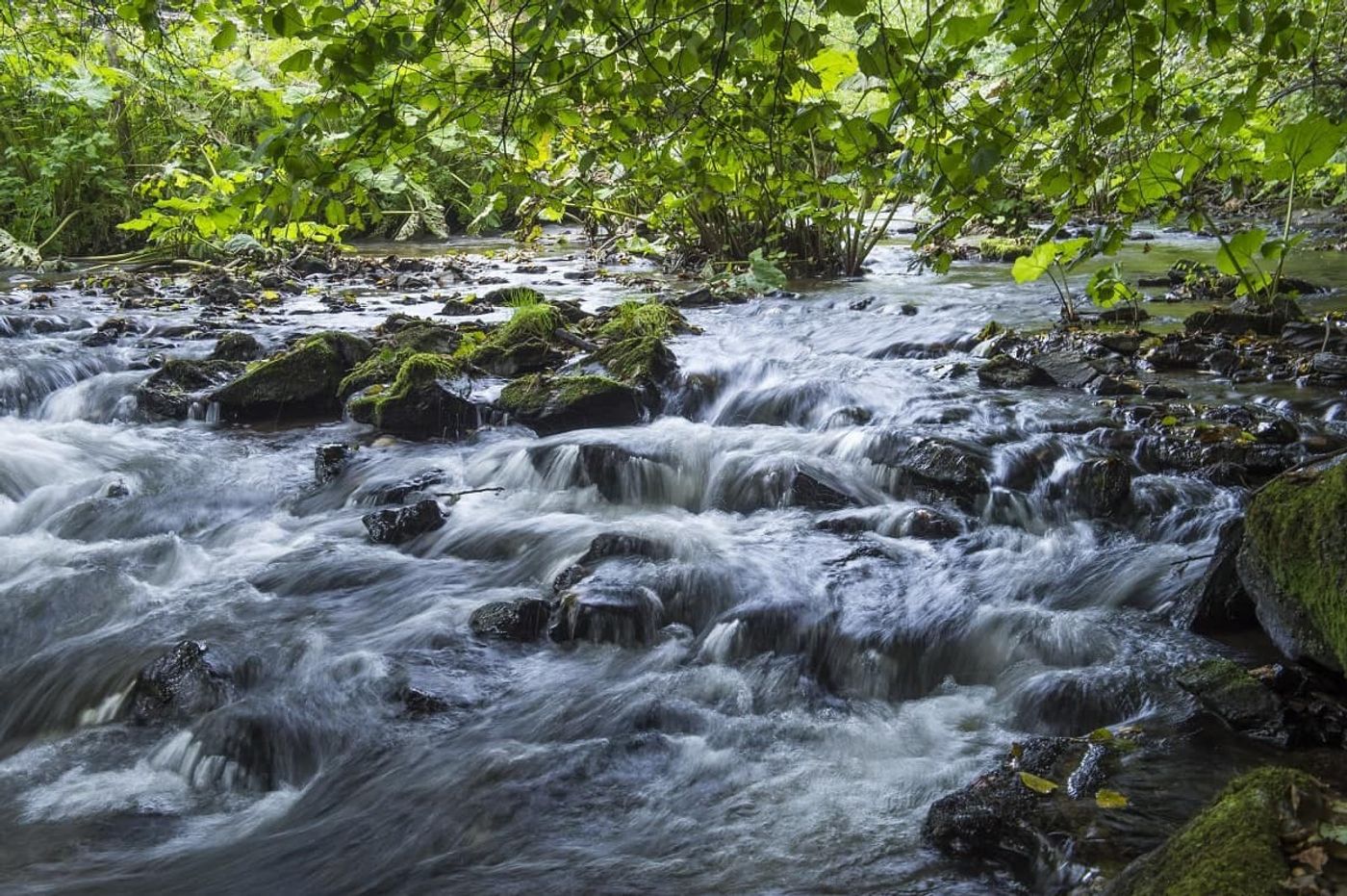 Keltische Geschichte und Naturerlebnisse