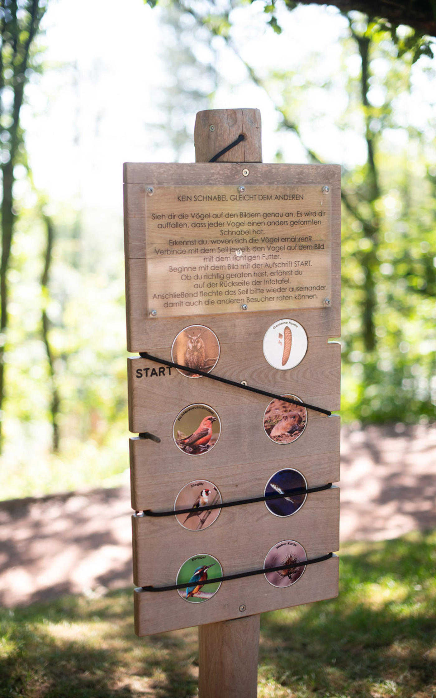 Ein Spielplatz mitten in der Natur
