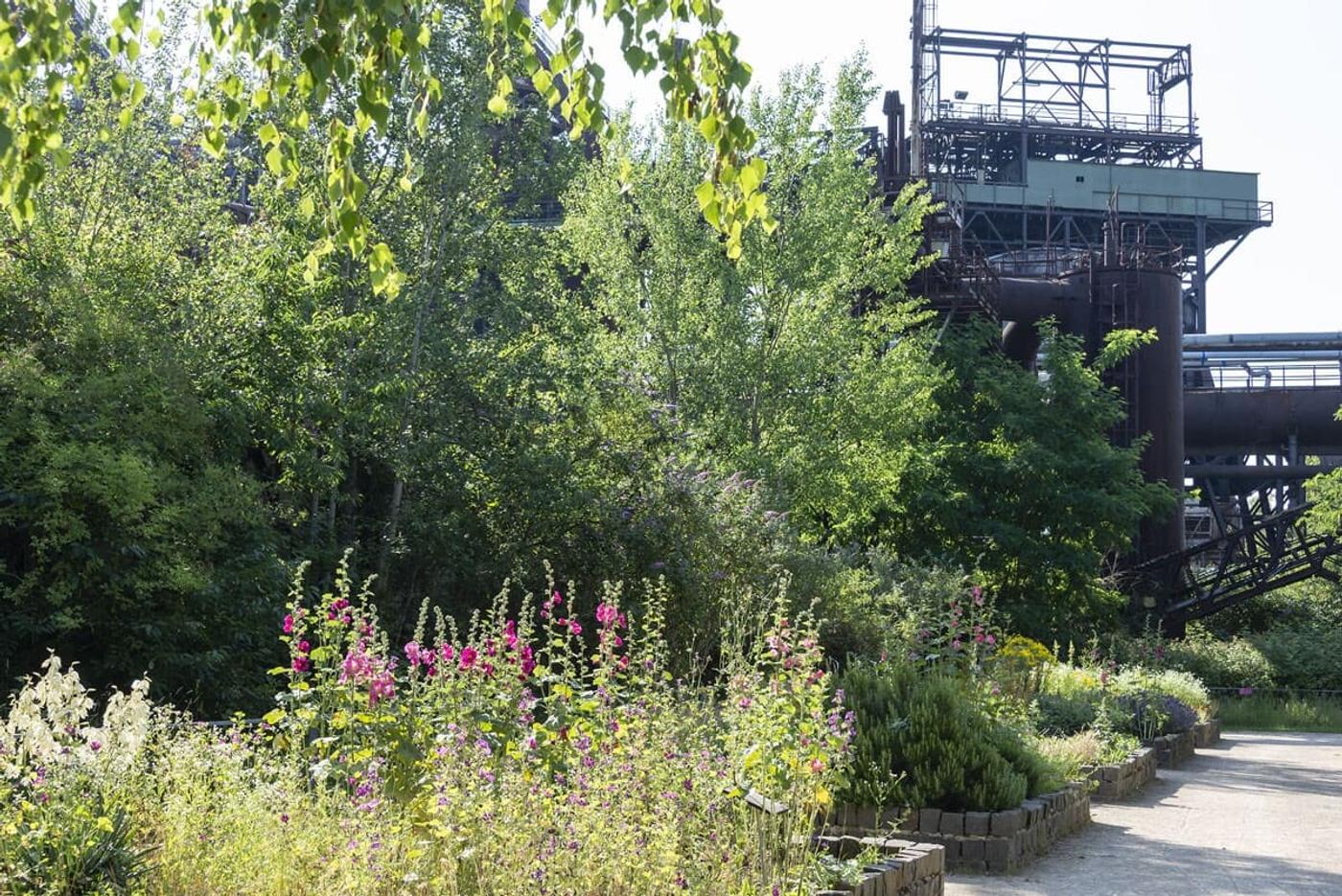 Einzigartige Symbiose aus Natur und Industrie